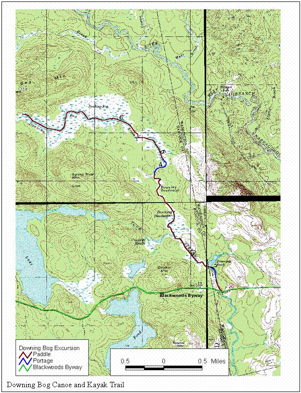 Text Box:
Downing Bog Canoe and Kayak Trail